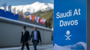 Saudis showcase charm offensive in Davos