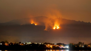 Incendies au Chili: couvre-feu décrété dans les zones les plus touchées 