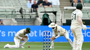 Pakistan snare Warner on cusp of lunch in 2nd Test