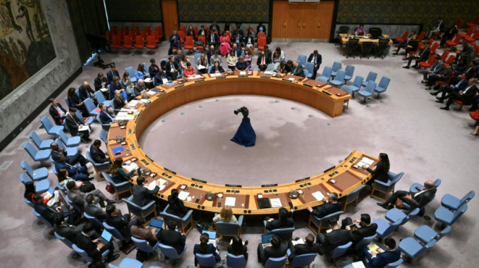 UN Security Council demands end to Darfur city's siege