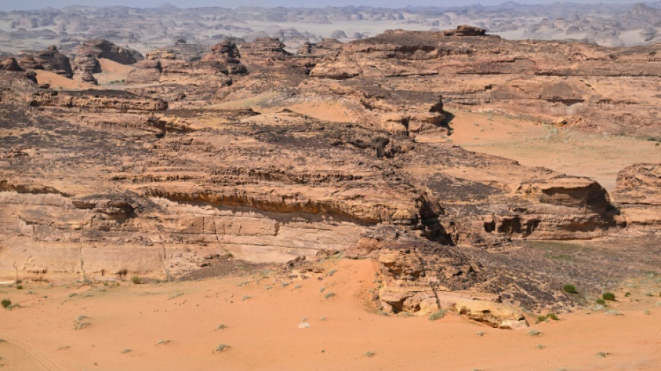 Audi ace Ekstrom wins Dakar prologue as Saudi desert slog awaits