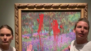 Environment activists smear paint on Monet work in Stockholm