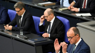 Bundestag: Scholz hält Regierungserklärung - Union stellt Migrations-Anträge