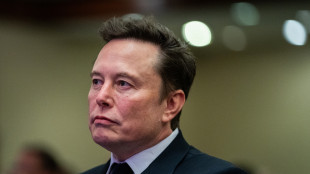 Musk sostiene petizione per nuovo voto in Gb, 2 milioni di firme