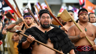 Des milliers de manifestants pour les droits des Maoris en Nouvelle-Zélande