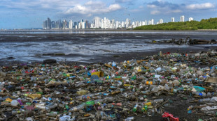 Les océans nous ont sauvés, maintenant c'est notre tour