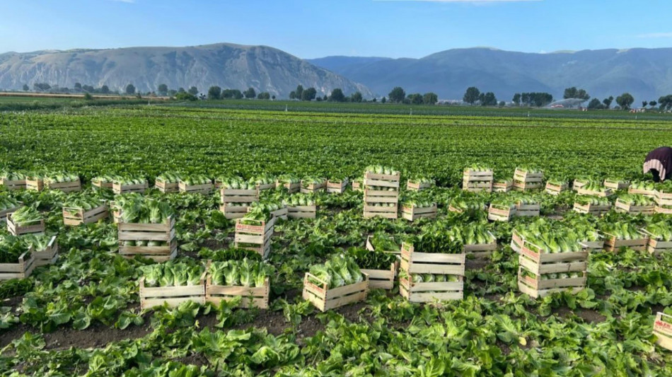 Stati generali green economy, per il clima -2,5% agricoltura