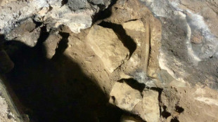 Aboriginal ritual passed down over 12,000 years, cave find shows