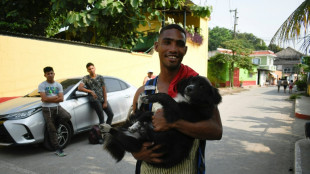 Dogged determination: migrant and pup cross eight countries en route to US