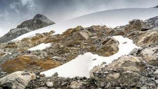 Icy reception for plan to 'save' Venezuela's last glacier