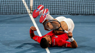 Djokovic sparks Serb celebration in the midnight hour