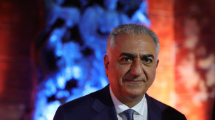 Reza Pahlavi, 'pronto a guidare Iran verso libertà e pace'