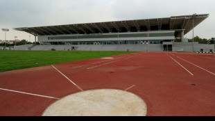 Barking mad: Indian stadium closes early 'so official can walk dog'