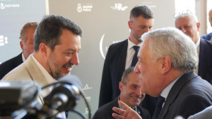 Tajani, con Salvini nessun problema sulla situazione italiana