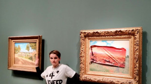 Relaxe de la militante écologiste qui avait recouvert d'un autocollant un tableau de Monet au musée d'Orsay