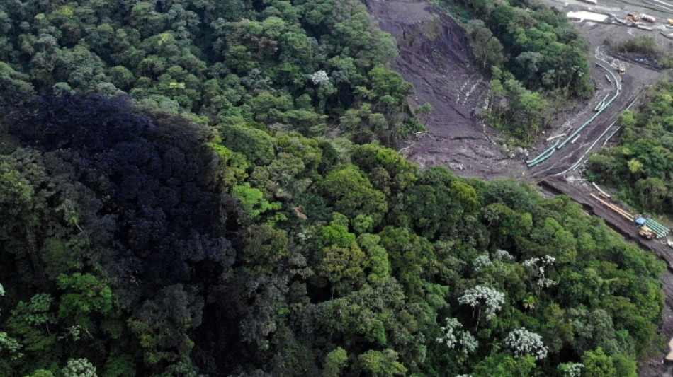 Du pétrole dans la rivière: catastrophe écologique en Amazonie équatorienne