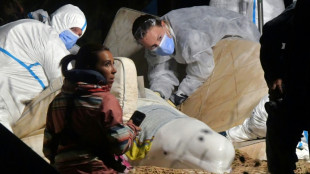 Stranded beluga whale rescued from France's Seine river