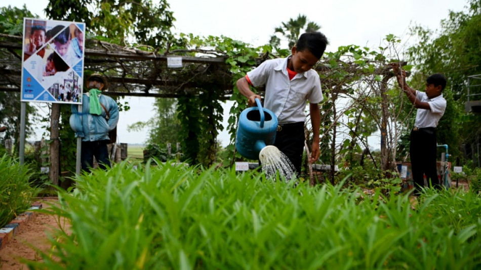 School gardens a lifeline for hungry Cambodian children