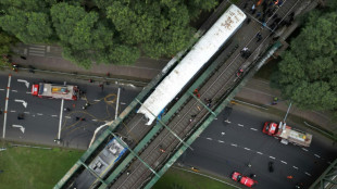 Collision entre deux trains à Buenos Aires, près de 60 blessés en majorité légers