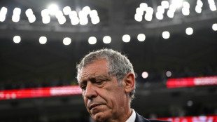 Istanbul's Besiktas name Portugal legend Santos as coach