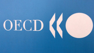 OECD ups world growth forecast but sees Middle East 'risk'