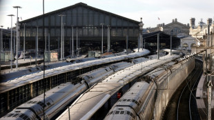 El tráfico se reanuda en la estación de París paralizada por una bomba de la II Guerra Mundial