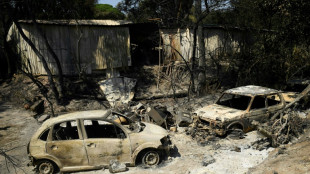 Un an après un méga feu, la résilience de la forêt méditerannéenne mise à l'épreuve