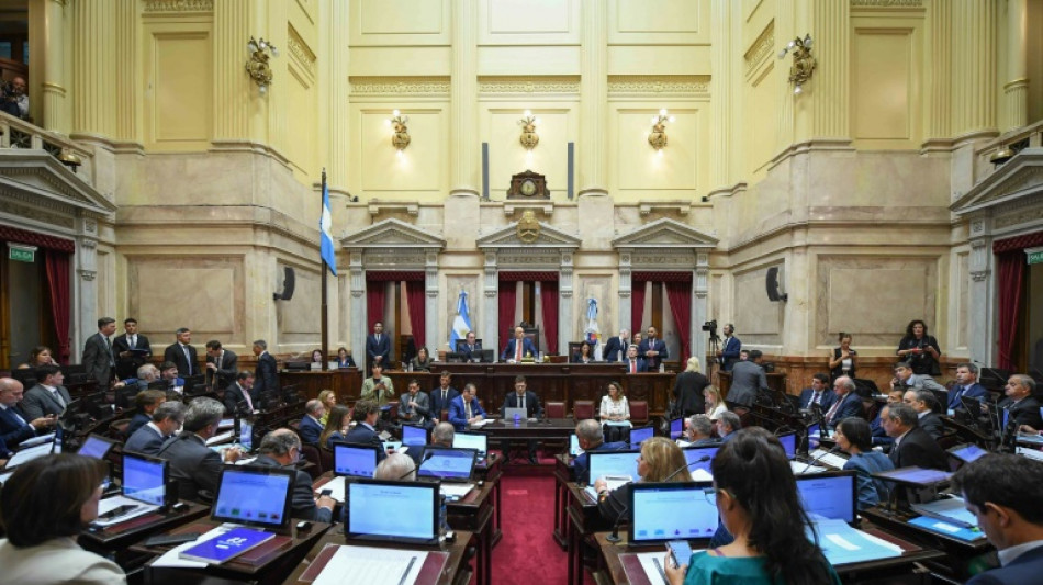 El Senado argentino suspende las primarias obligatorias de las legislativas de octubre