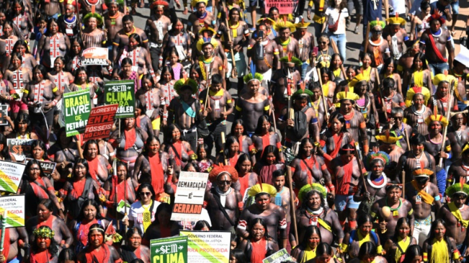 Indigenous people march in Brazil to demand land demarcation