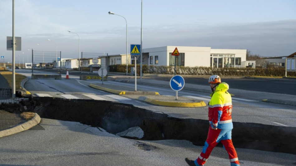 Iceland PM says no country more prepared for volcano threat