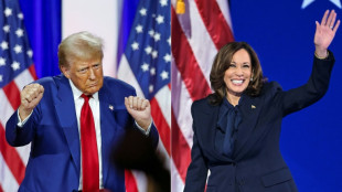 Harris, Trump target crucial Pennsylvania as US vote looms