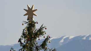 Sweden says Christmas tree needles safe to eat -- after Belgian warning