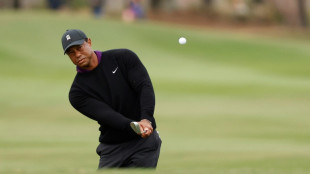 Tiger makes pro-am walk ahead of title hunt with son Charlie