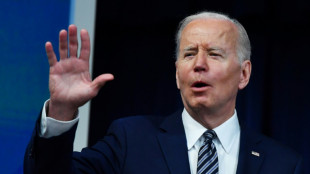 Biden says unprecedented use of oil stockpile will ease US fuel costs 'pain'