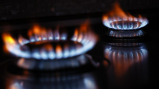 Il gas gira in rialzo e torna oltre 55 euro tra freddo e dazi