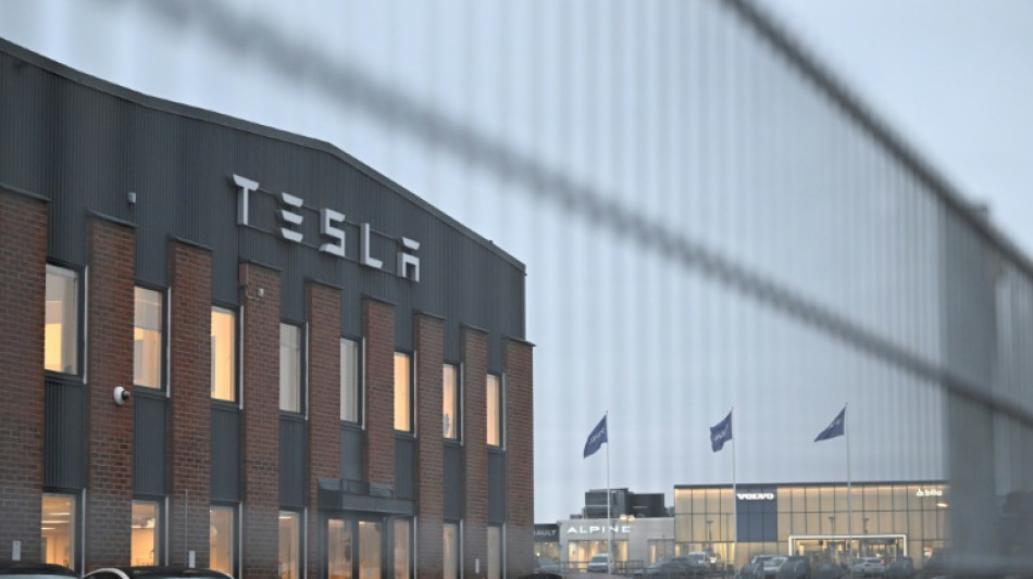 Port workers join Tesla strike in Sweden 