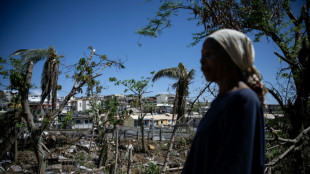 La flore et la faune de Mayotte dévastées, comme "une déflagration qui a tout soufflé"