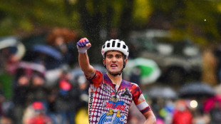 Cyclisme: Le Portugais Guerreiro s'impose au sommet du Ventoux