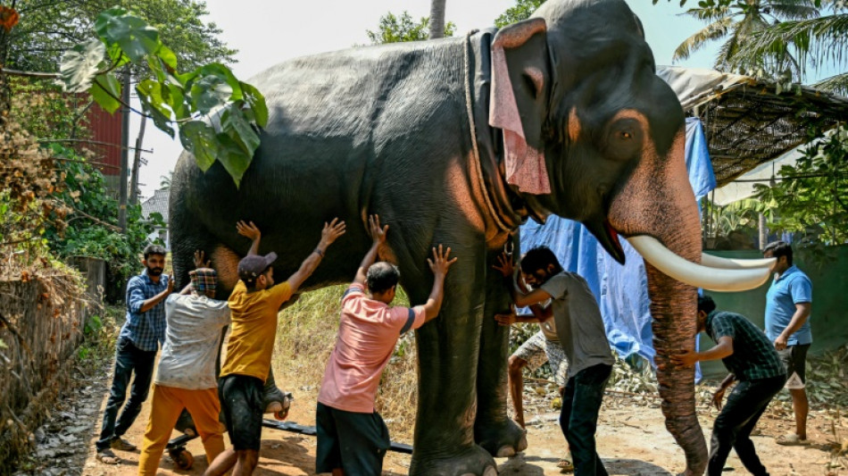 Model behaviour: India's anti-cruelty robot elephants