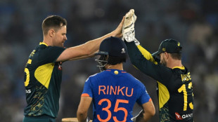 Rinku, spinners help India down Australia to clinch T20 series