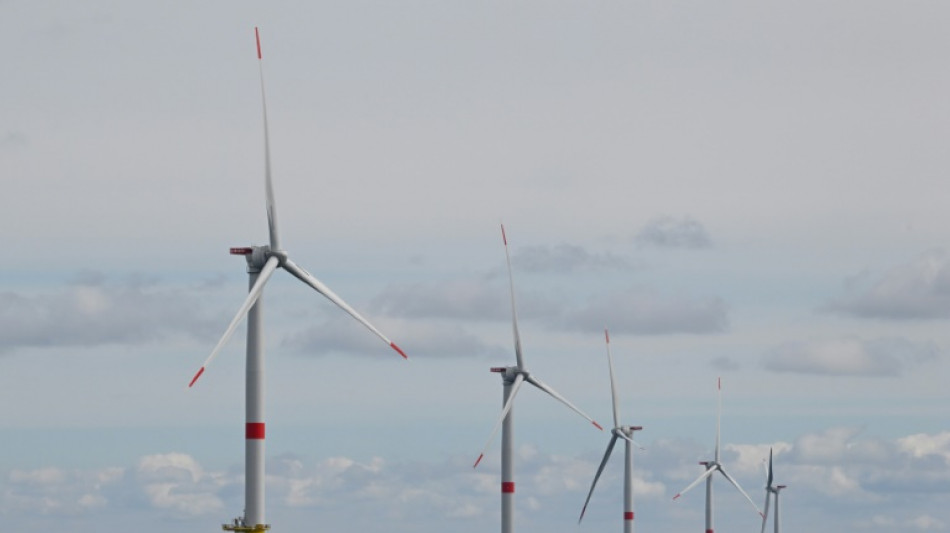 Feu vert environnemental pour la création d'un parc éolien en mer près de Dunkerque