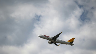 Turkey's Pegasus Airlines says to buy 200 Boeing 737 aircraft