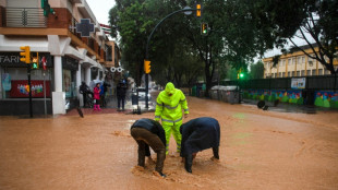 Spain flood epicentre survives fresh rain alert