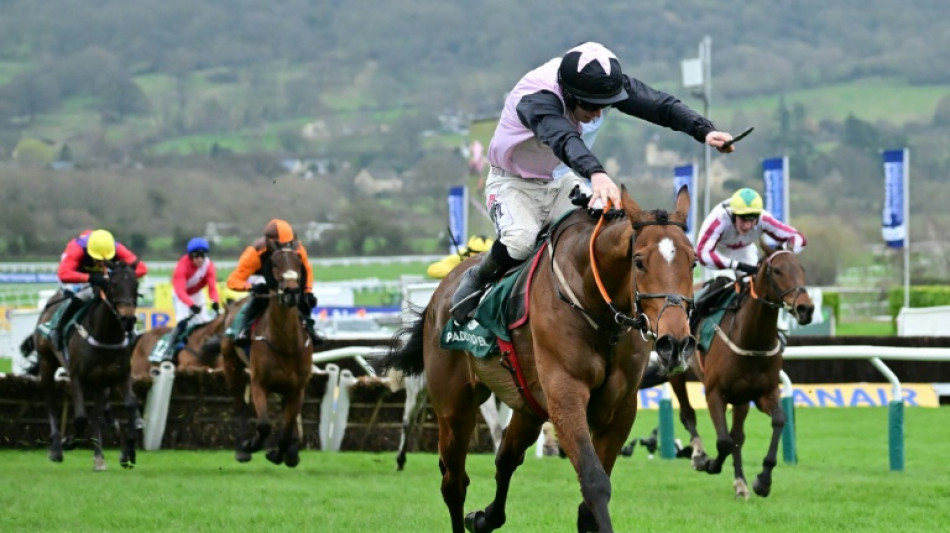 Teahupoo wins Stayers' Hurdle as Ferguson enjoys Cheltenham double