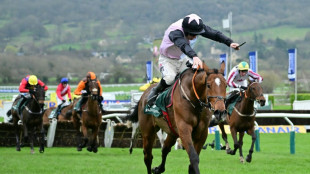 Teahupoo wins Stayers' Hurdle as Ferguson enjoys Cheltenham double