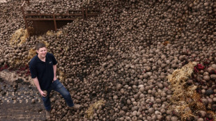 Brexit bureaucracy leaves British beet rotting