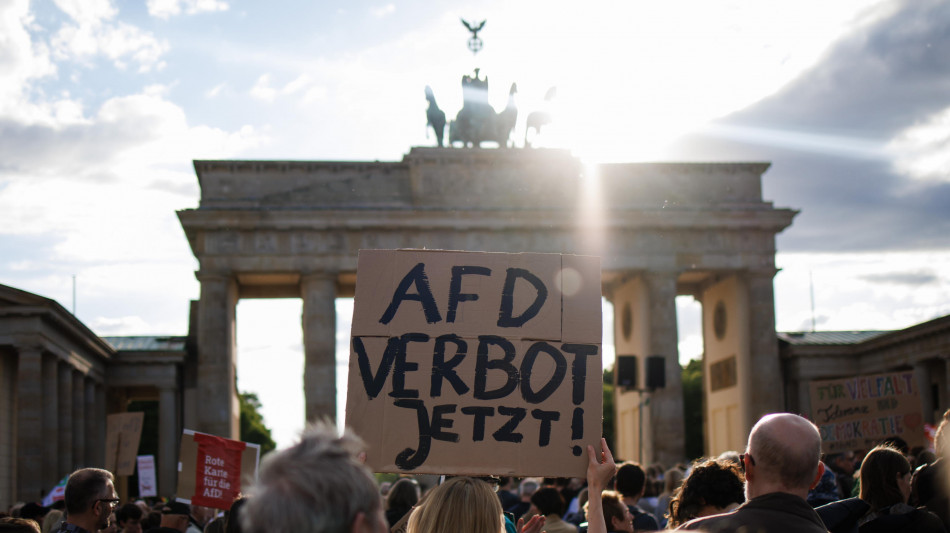 Germania, legittimo ritenere Afd caso sospetto estremismo