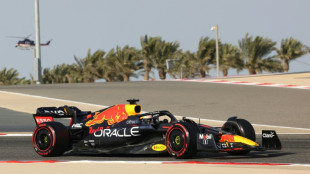 Verstappen tops final Bahrain practice with Hamilton sixth