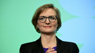 Grüne sehen Verhandlungsergebnisse zu Finanzpaket als großen Erfolg