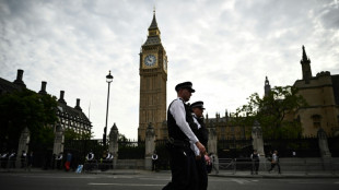 Deux policiers poignardés à Londres, l'attaque "pas traitée comme liée au terrorisme"